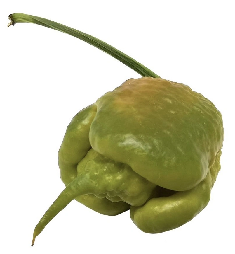 Mustard Carolina Reaper - Seeds