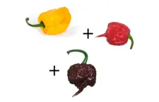 Carolina Reaper Pack 