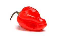 Habanero Red