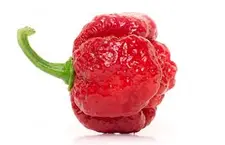 Scorpion pepper Red