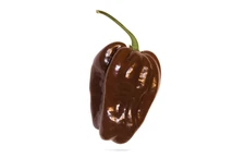 Habanero Chocolate