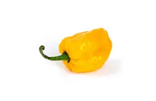 Carolina reaper Yellow