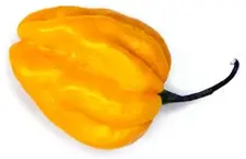 Habanero Lemon