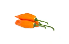 Aji Amarillo